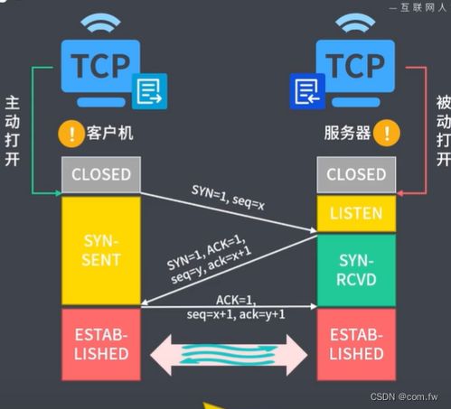 计算机网络